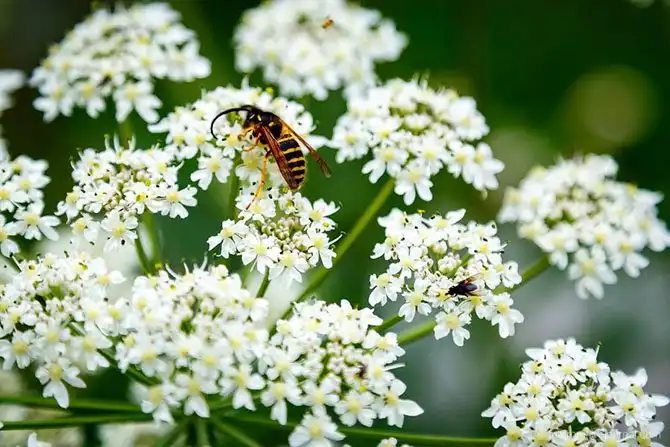 Путешествие по озеру Семицветное на Кавказе