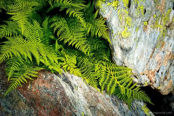 Путешествие по озеру Семицветное на Кавказе