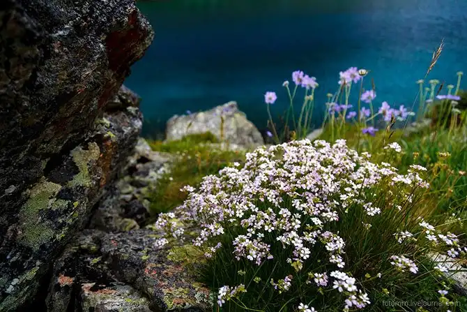 Путешествие по озеру Семицветное на Кавказе