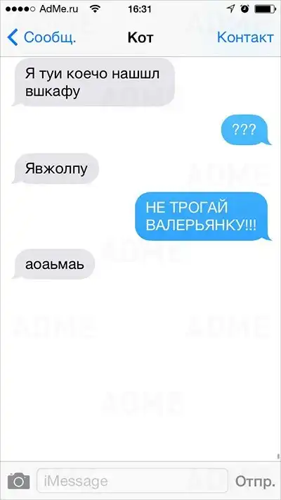 Если бы коты умели писать СМС