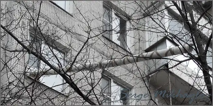 Котопровод в одной из квартир типичной многоэтажки