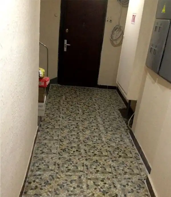 Всем бы таких соседей