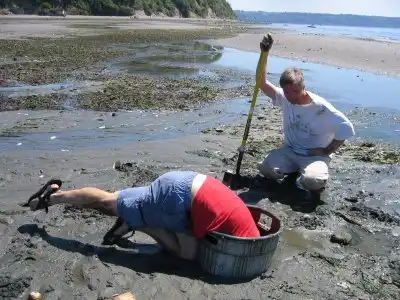 … а это всего лишь гуидак !