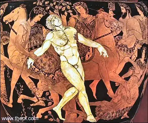 За золотым руном