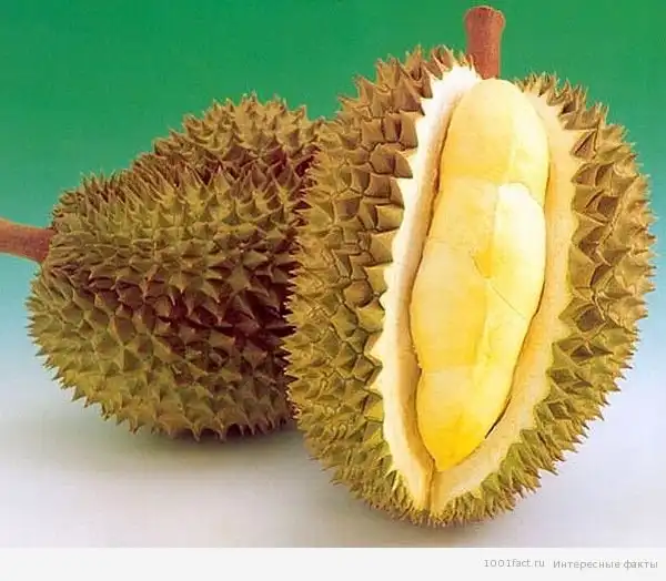 Факты о дуриане