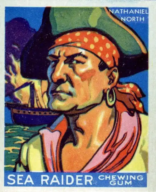 Пират Джон Хэлси (John Halsey)