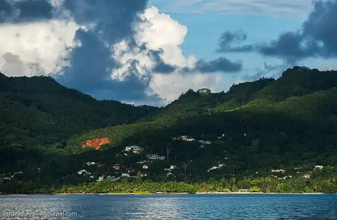 Океанская рыбалка на Сейшелах