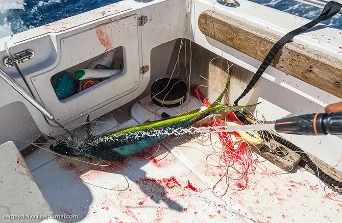 Океанская рыбалка на Сейшелах