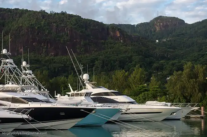 Океанская рыбалка на Сейшелах