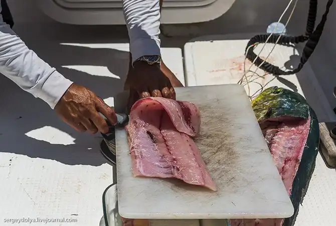 Океанская рыбалка на Сейшелах