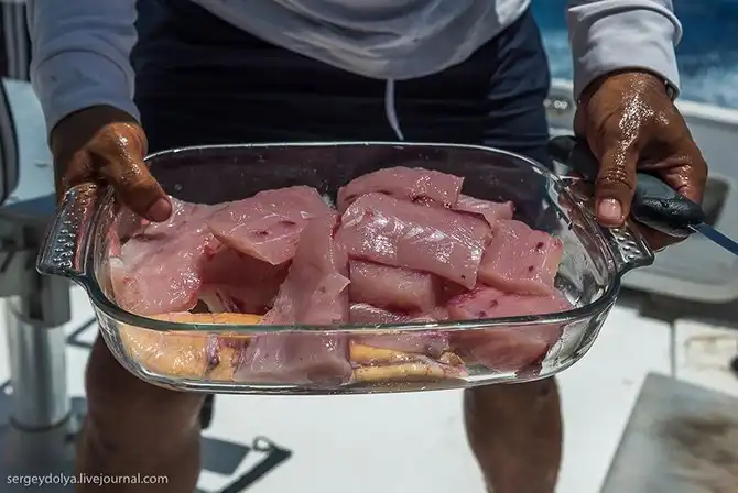 Океанская рыбалка на Сейшелах