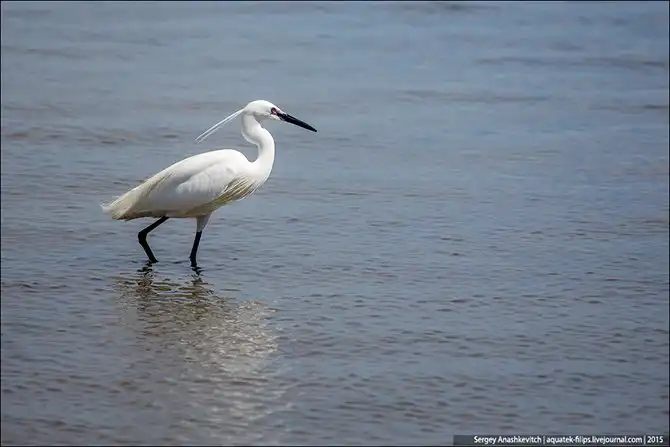 Корабль на прокат и путешествие по Франции