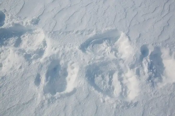 Путешествие по горячим рекам Камчатки