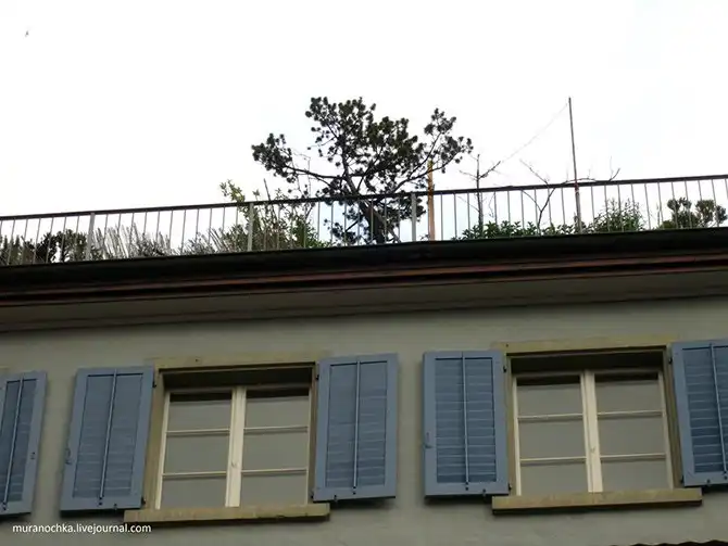 Прогулка по старому Цюриху