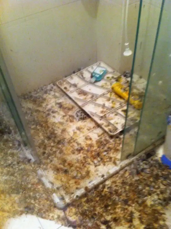 Что бывает, если не закрывать окна