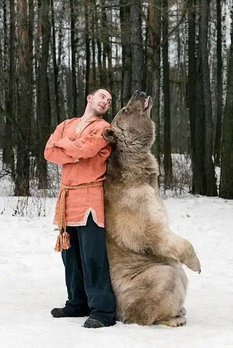 Фотографии моделей с 650-килограммовым медведем в заснеженном лесу