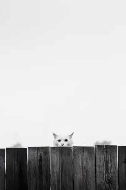 20 потрясающих фотографий в стиле минимализма