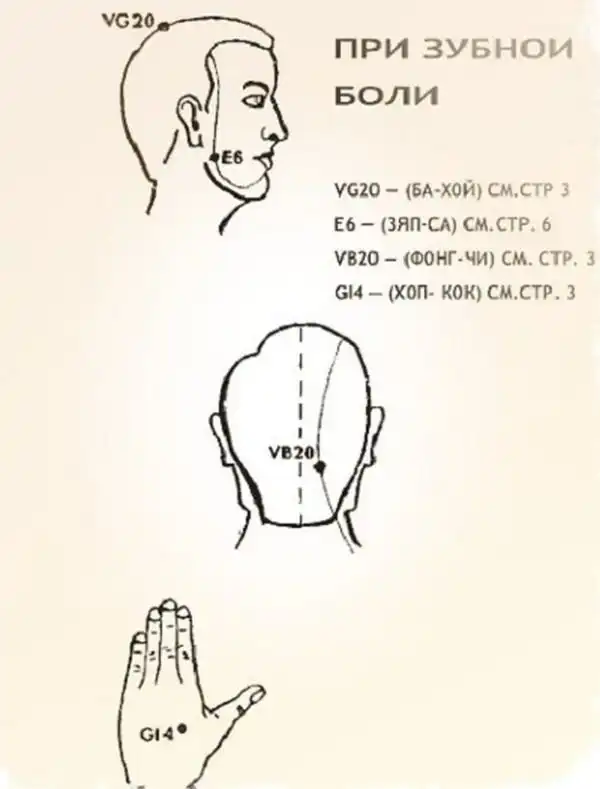 Полезные свойства бальзама "Звездочка"