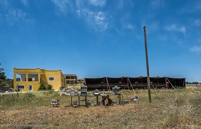 Как живут иорданские цыгане и бедуины