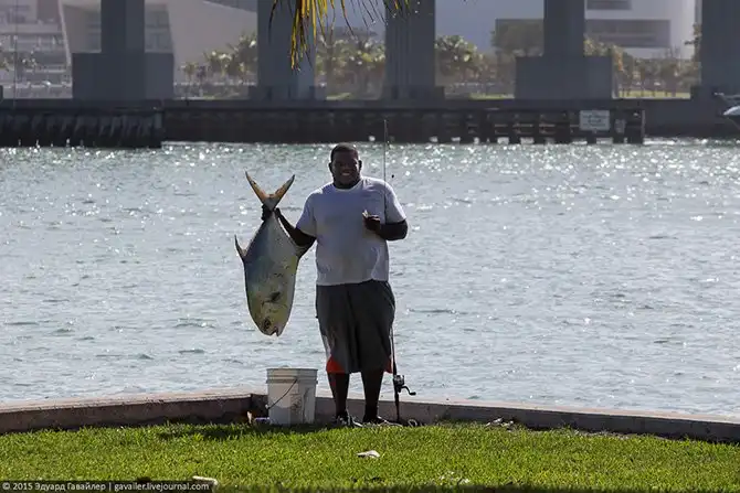 20 больших вещей в Америке