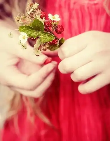 Соляночка =3