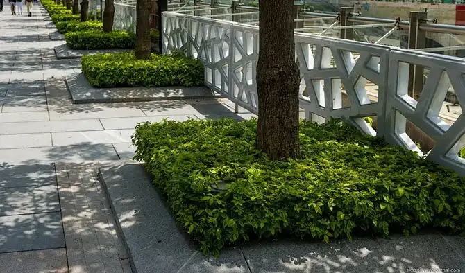 Прогулка по Гуанчжоу