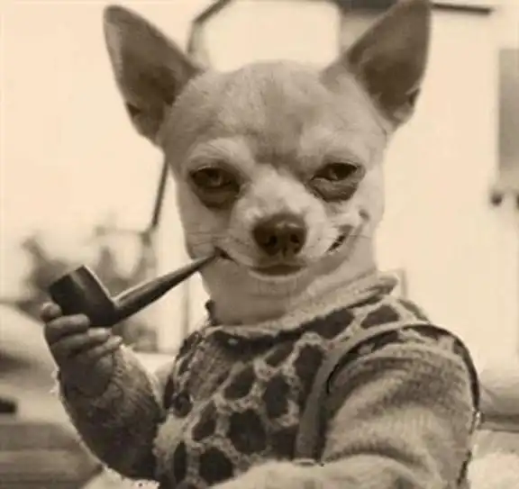 10 случаев удачного фотошопа