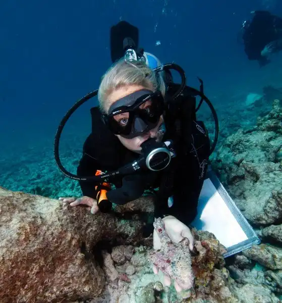 Подлинная история «Моби Дика»