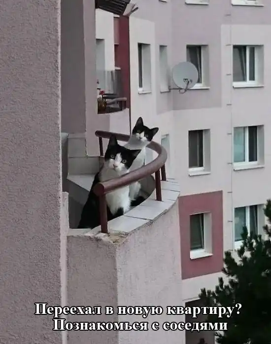 Прикольные картинки абавсём:D (17.07.15)