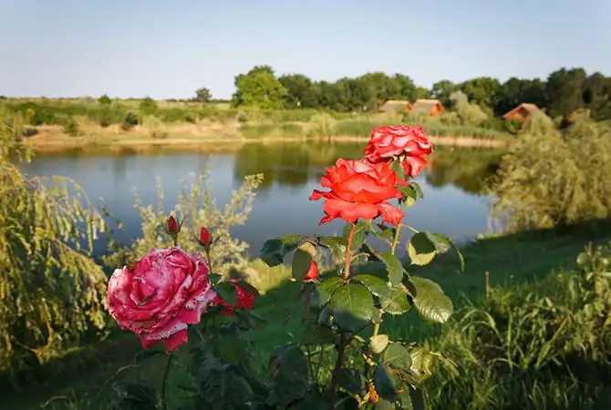 Неизведанная Румыния