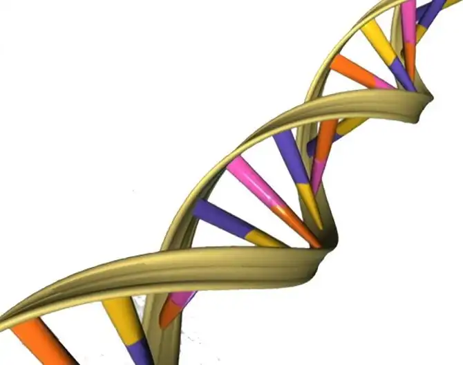 25 вещей, которых мы не знали о Чингисхане