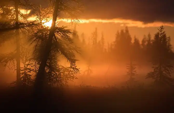 Лучшие снимки, сделанные на рассвете