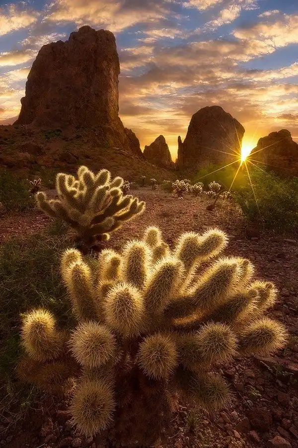 Лучшие снимки, сделанные на рассвете