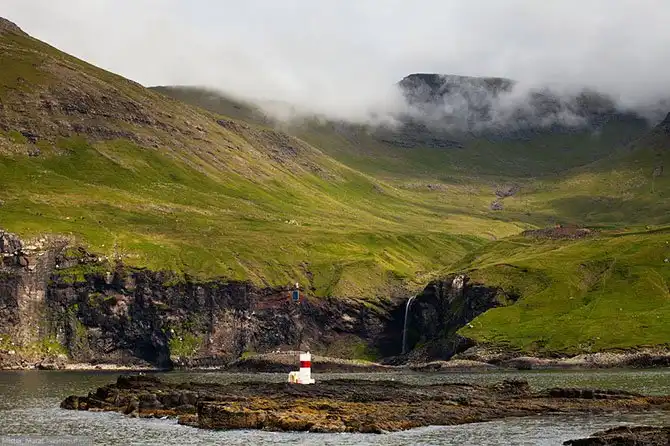 Фареры: остров птиц