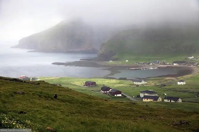 Фареры: остров птиц