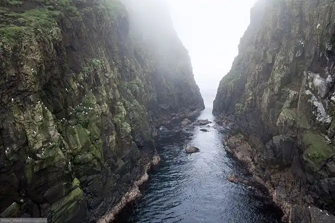 Фареры: остров птиц