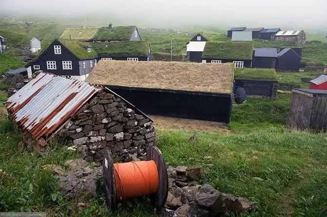 Фареры: остров птиц