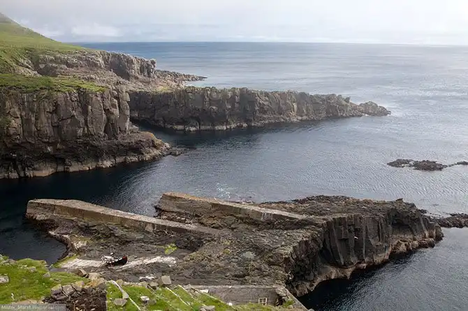 Фареры: остров птиц