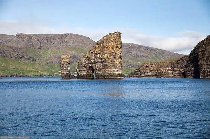 Фареры: остров птиц