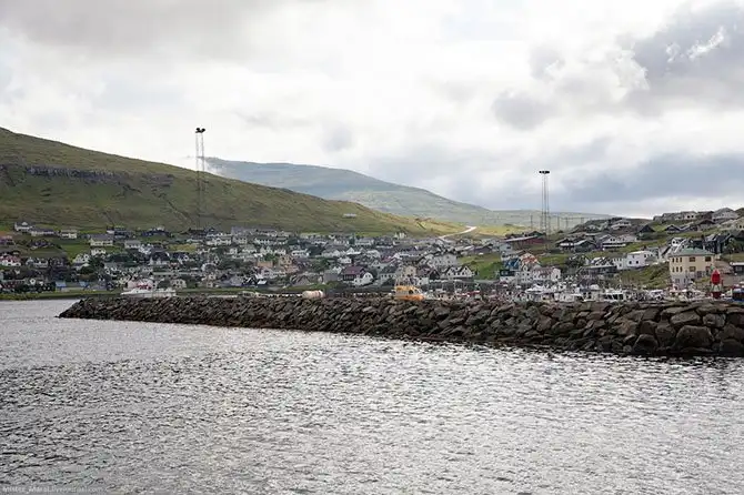 Фареры: остров птиц