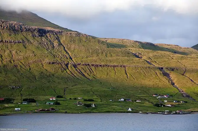 Фареры: остров птиц