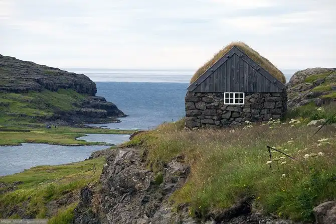 Фареры: остров птиц