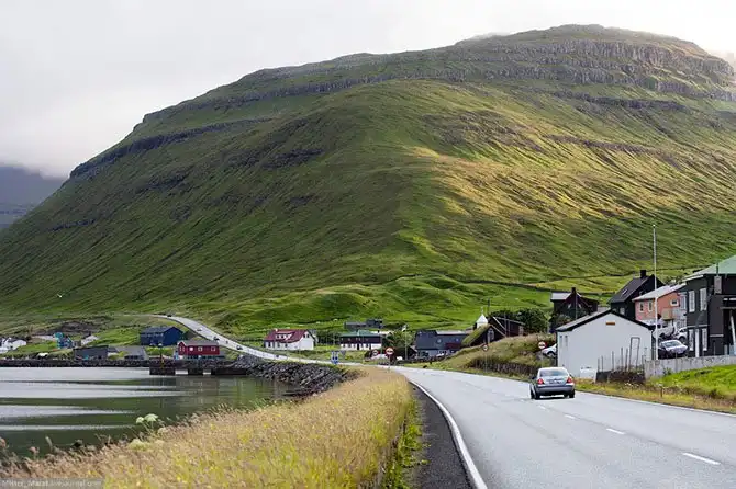 Фареры: остров птиц