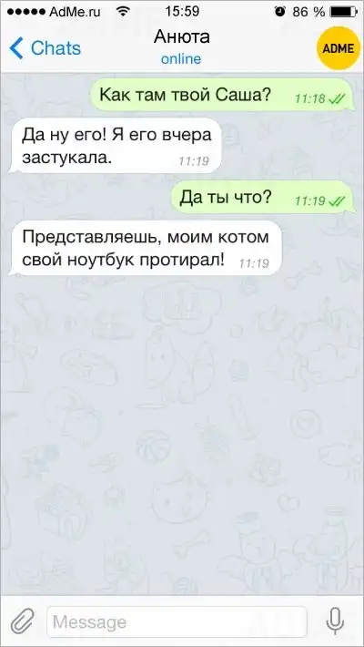 15 СМС о братьях наших меньших