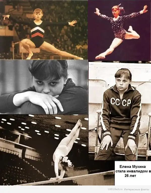 Суровый мир гимнастики