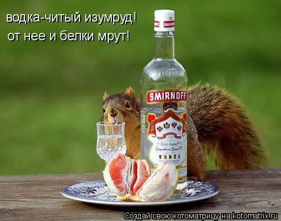 В недрах тундры белки в гетрах тырят в вёдра ядра кедра :)