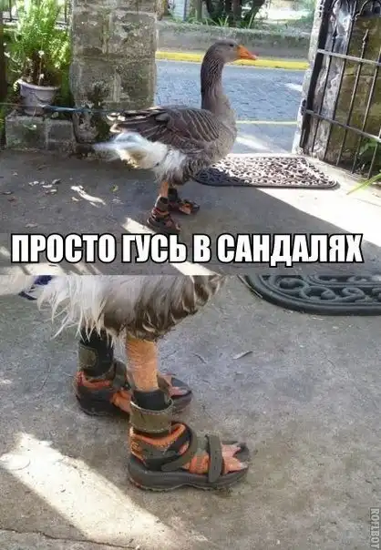 Разнообразная подборка =)