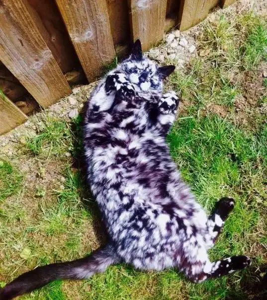 Разнообразная подборка =) "Улыбаемся и машем!"