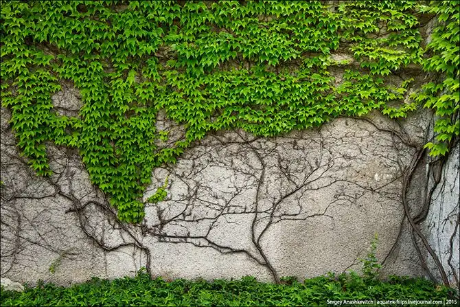 Экскурсия по винзаводу Массандра