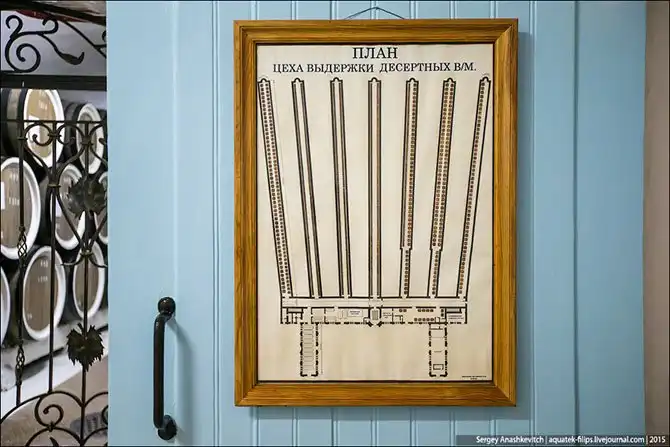 Экскурсия по винзаводу Массандра